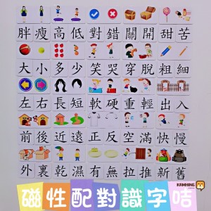 T1310 磁性配對識字600張